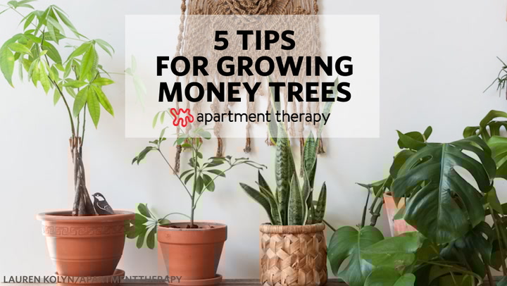 Customer Support Case Study Youmail