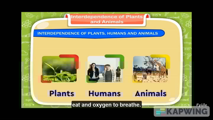 Interdependence of humans plants and animals art integrated projects and online educational