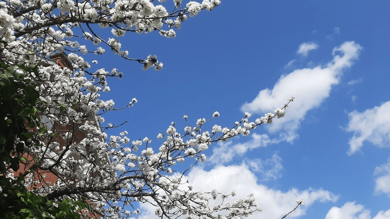 طقس الأحد 31 ديسمبر 2023 طقس الأحد 31 ديسمبر 2023