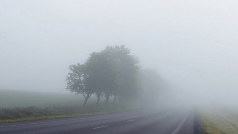 ضباب محليا كثيف صباح الأحد ثمّ سحب عابرة بأغلب المناطق