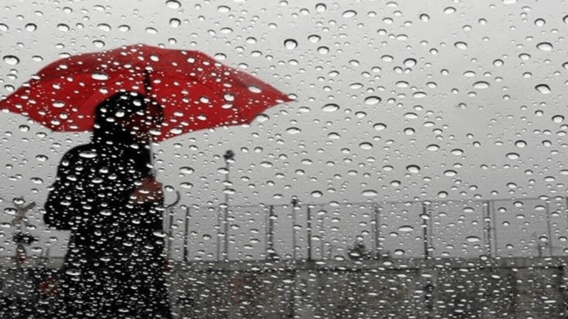 الغيث النافع متواصل يوم الأربعاء..