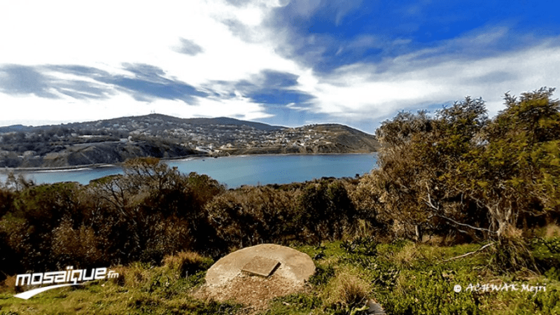 طقس الإثنين 1 أفريل 2024 طقس الإثنين 1 أفريل 2024