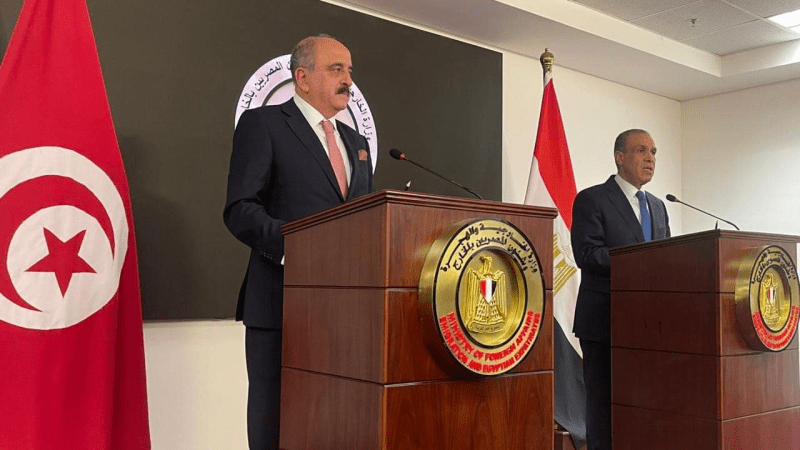 تونس ومصر تبحثان تطوير التعاون الثنائي والقضايا الإقليمية تونس ومصر تبحثان تطوير التعاون الثنائي والقضايا الإقليمية