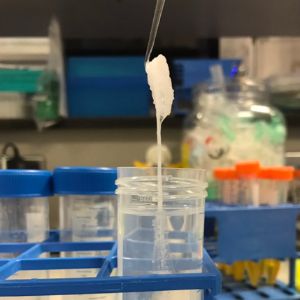 Ultra Long Read Sequencing Protocol For Rad004 Protocol Guidelines - Download Perfect Landscape Pattern | 8K