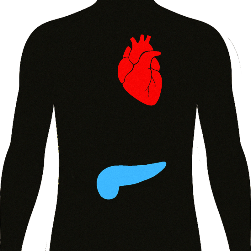Lipid Panel Ulta Lab Tests - Best Colorful Patterns in 8K