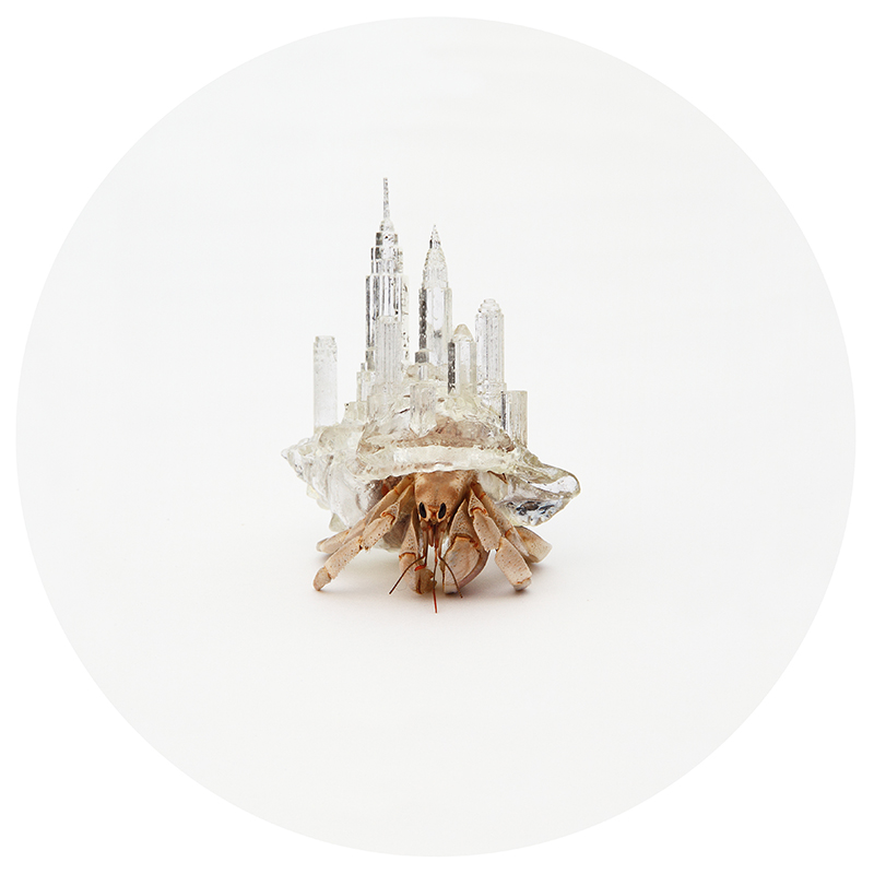 Amazing Human-Crustacean Architectural Collaborations
