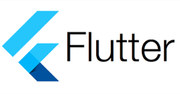 flutter development