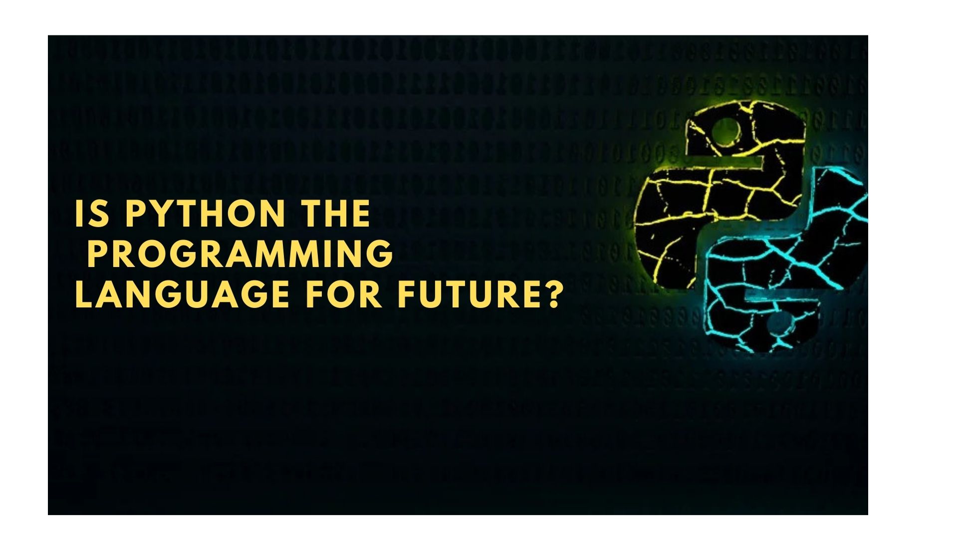 the programming language of the future