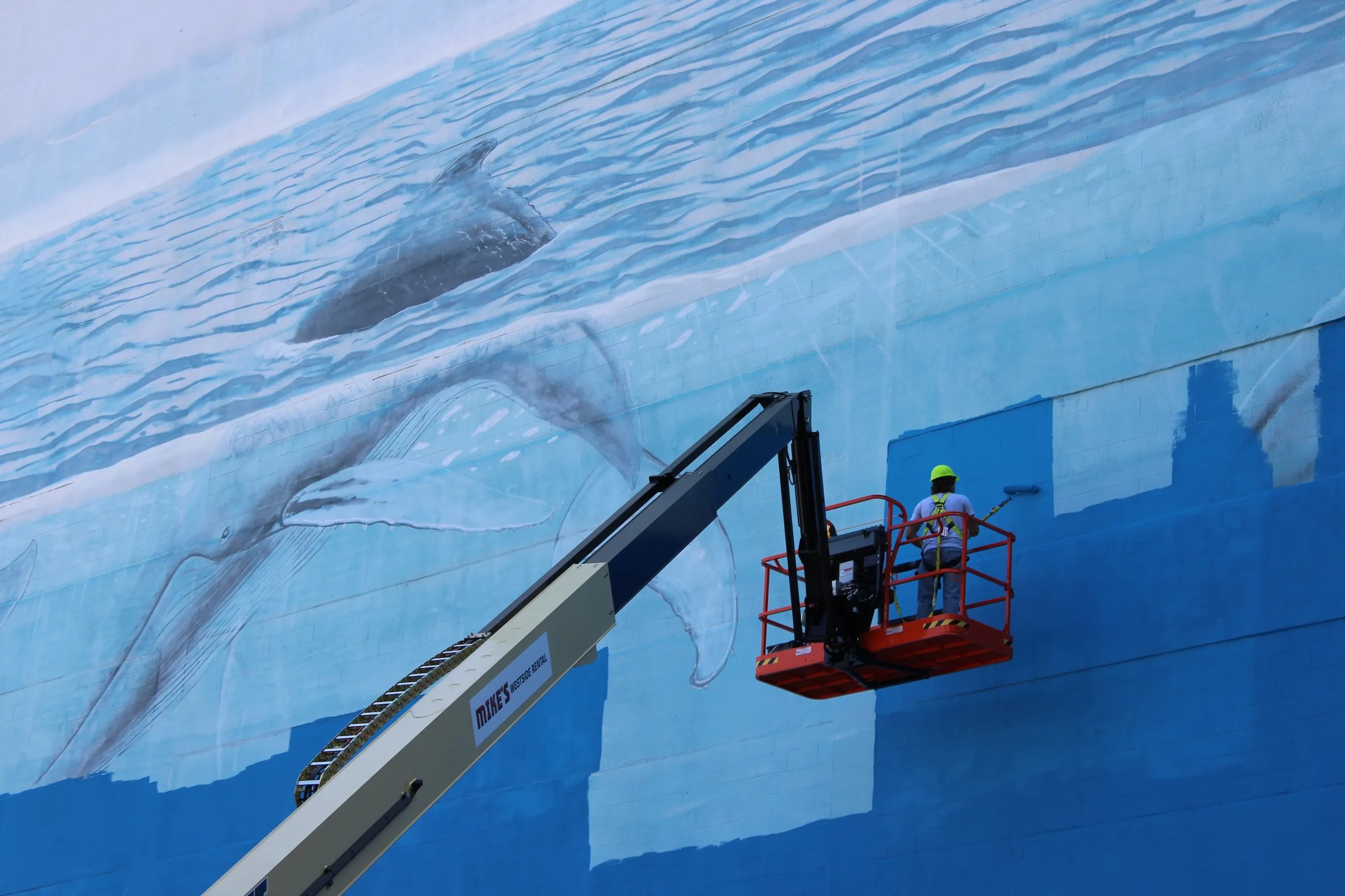 Dallas Artist Robert Wyland Sues FIFA for $25 Million Over