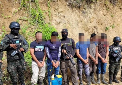 Capturan a cinco personas y aseguran cultivos de marihuana en Colón