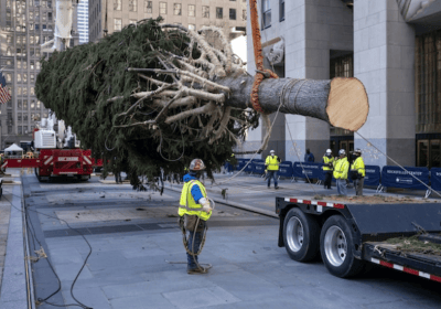 El árbol de Navidad del Rockefeller Center llega a Nueva York