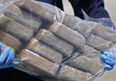 Alemania incauta 635 kilos de cocaína ocultos entre bananos