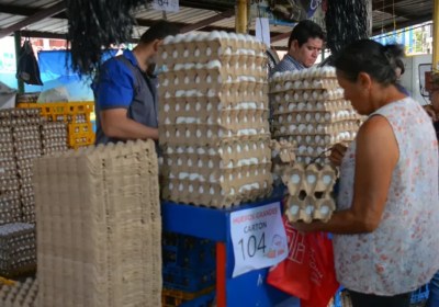 Gobierno y avicultores pactan estabilizar el precio del huevo en Honduras