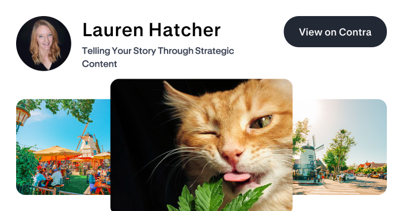 James Hatcher S Work Contra - Sunset Illustration Collection - High Resolution Quality