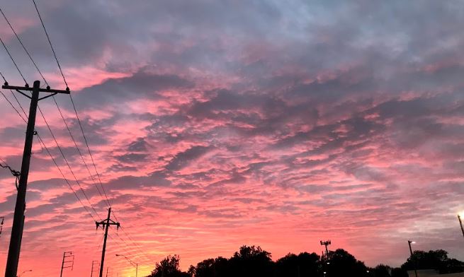 Fundraising Contributed Line - Amazing Full HD Nature Photos | Free Download