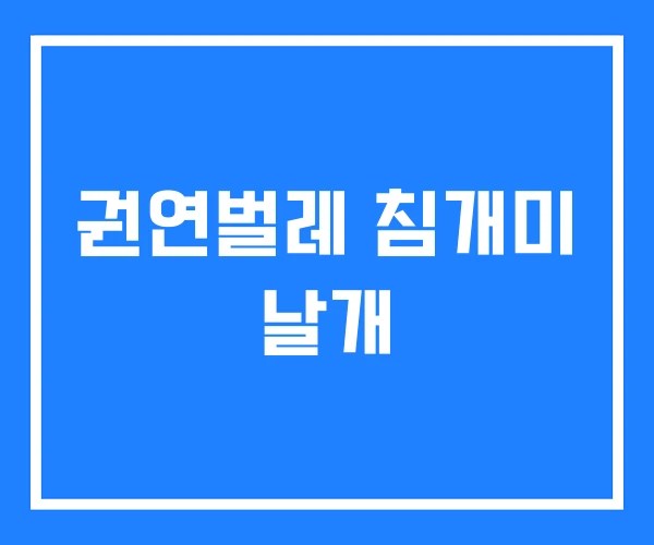 권연벌레 침개미 날개