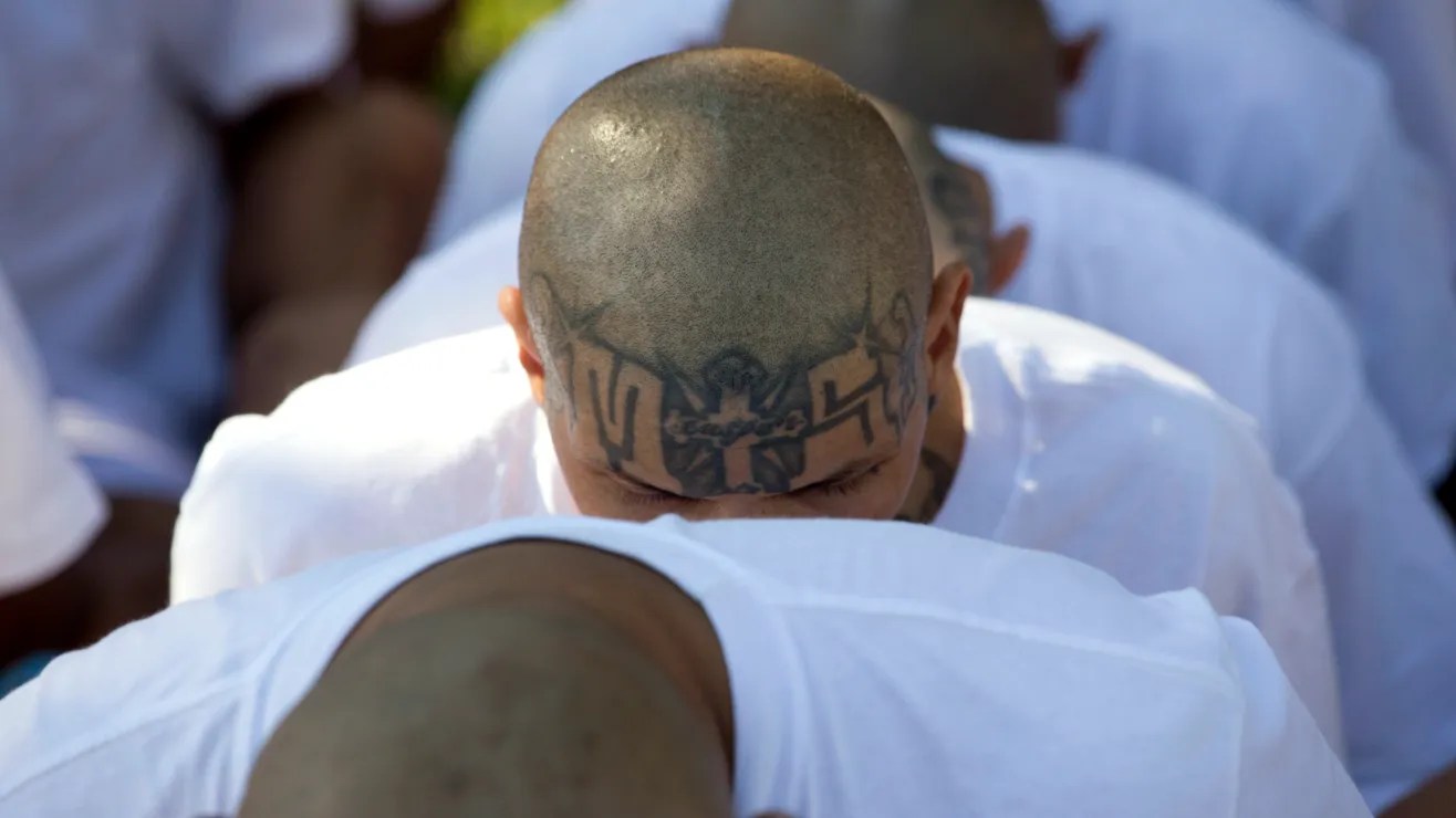 MS 13