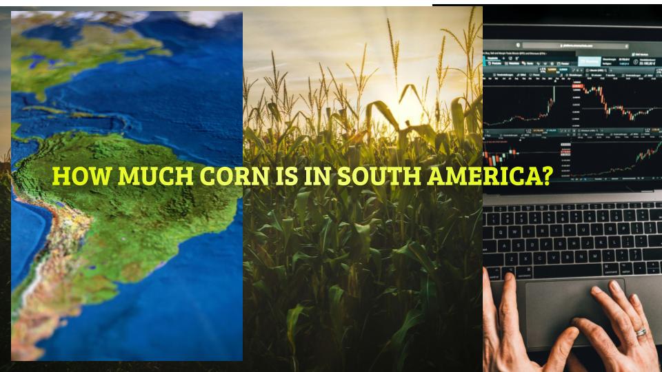 corn markets and south america