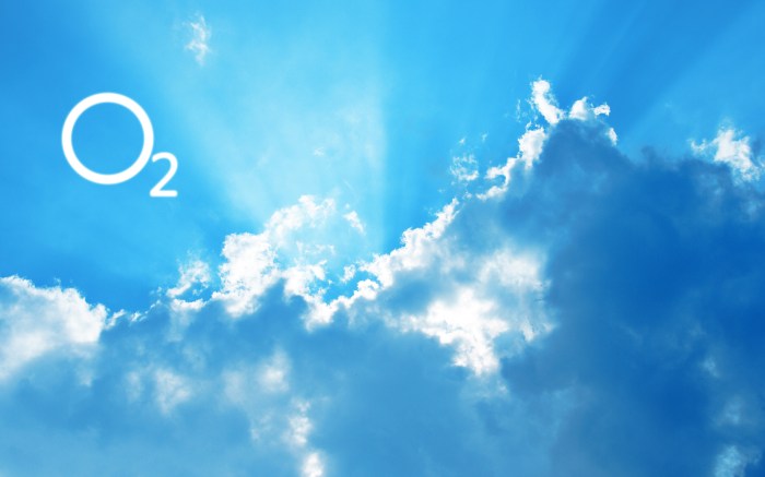 Environment: What is oxygen? What does this works?