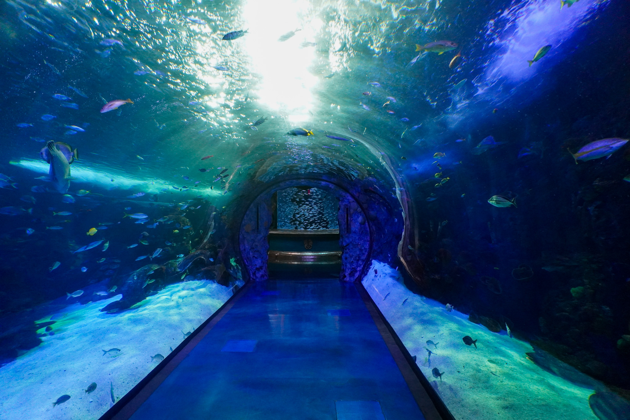 Aquarium at the Boardwalk