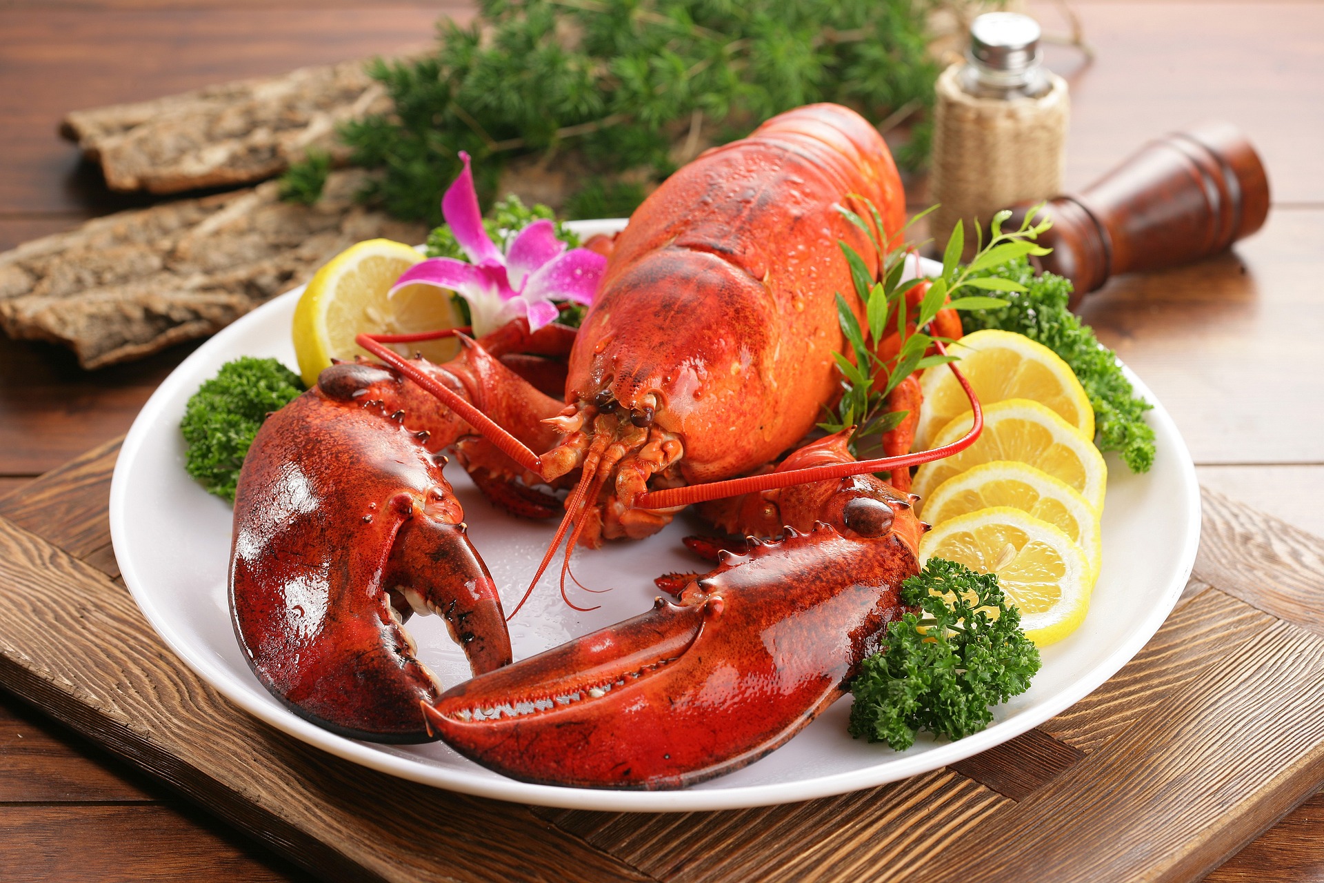 Cooking lobster: a guide to elevate culinary skills