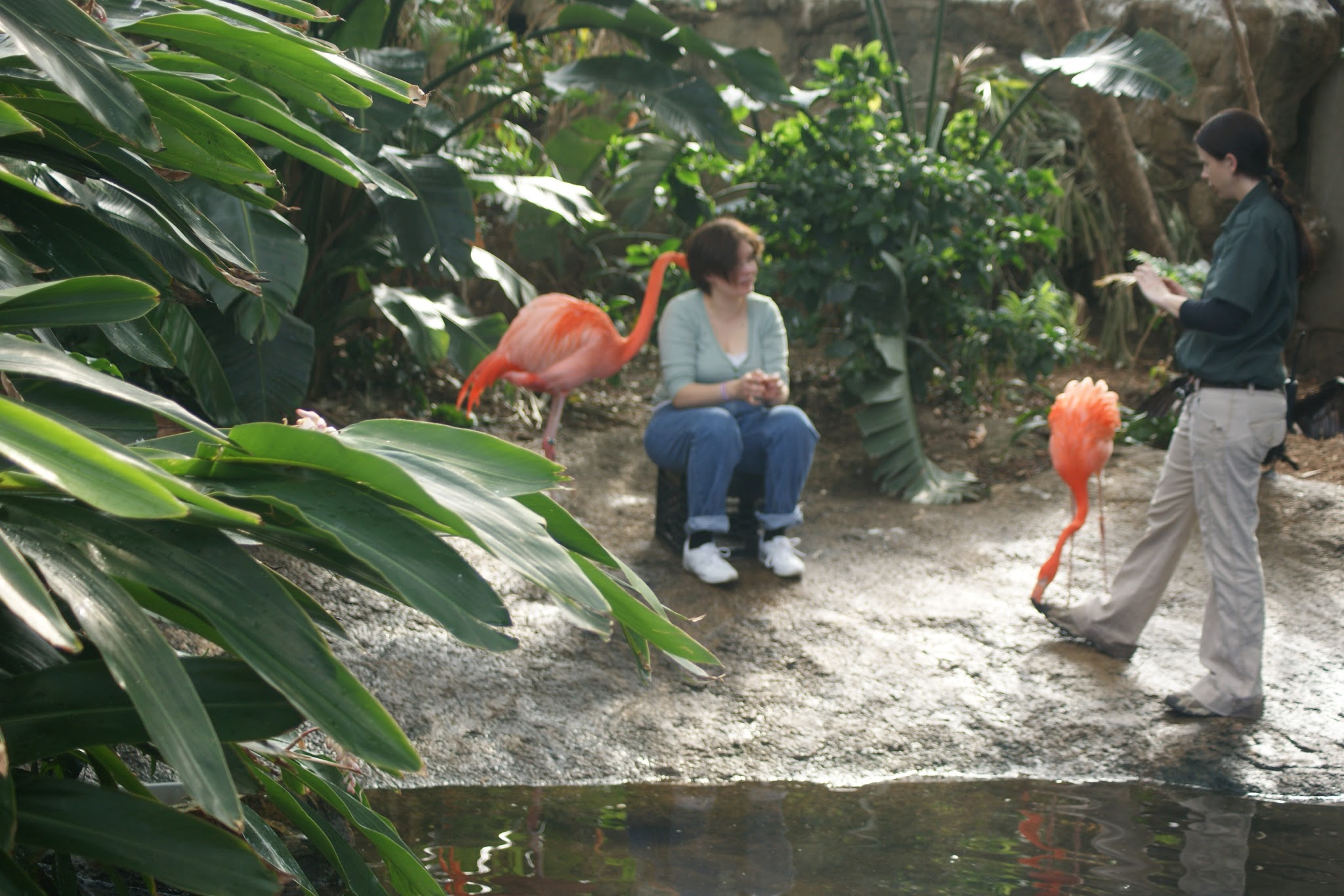 The Imaginative One took this photo