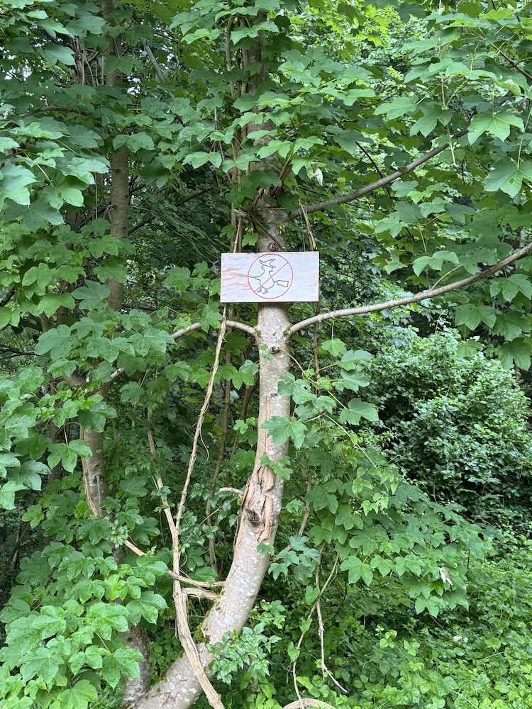 Ein unvergessliches Wochenende am Traunsee