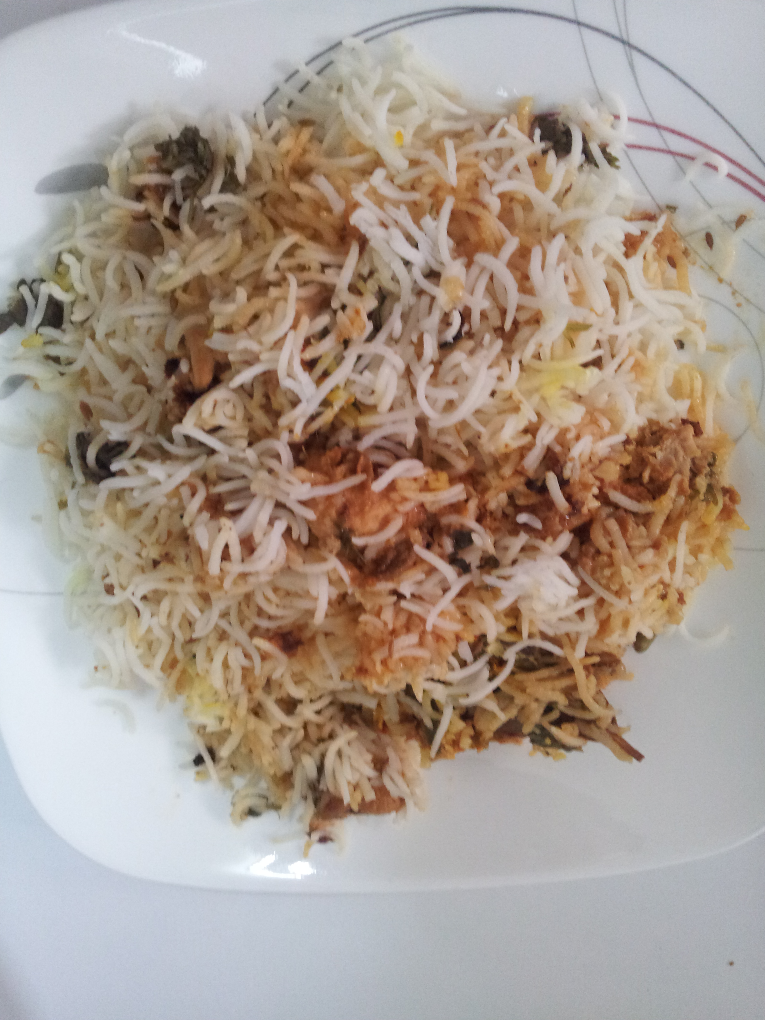 Sofiyani Biryani (1)