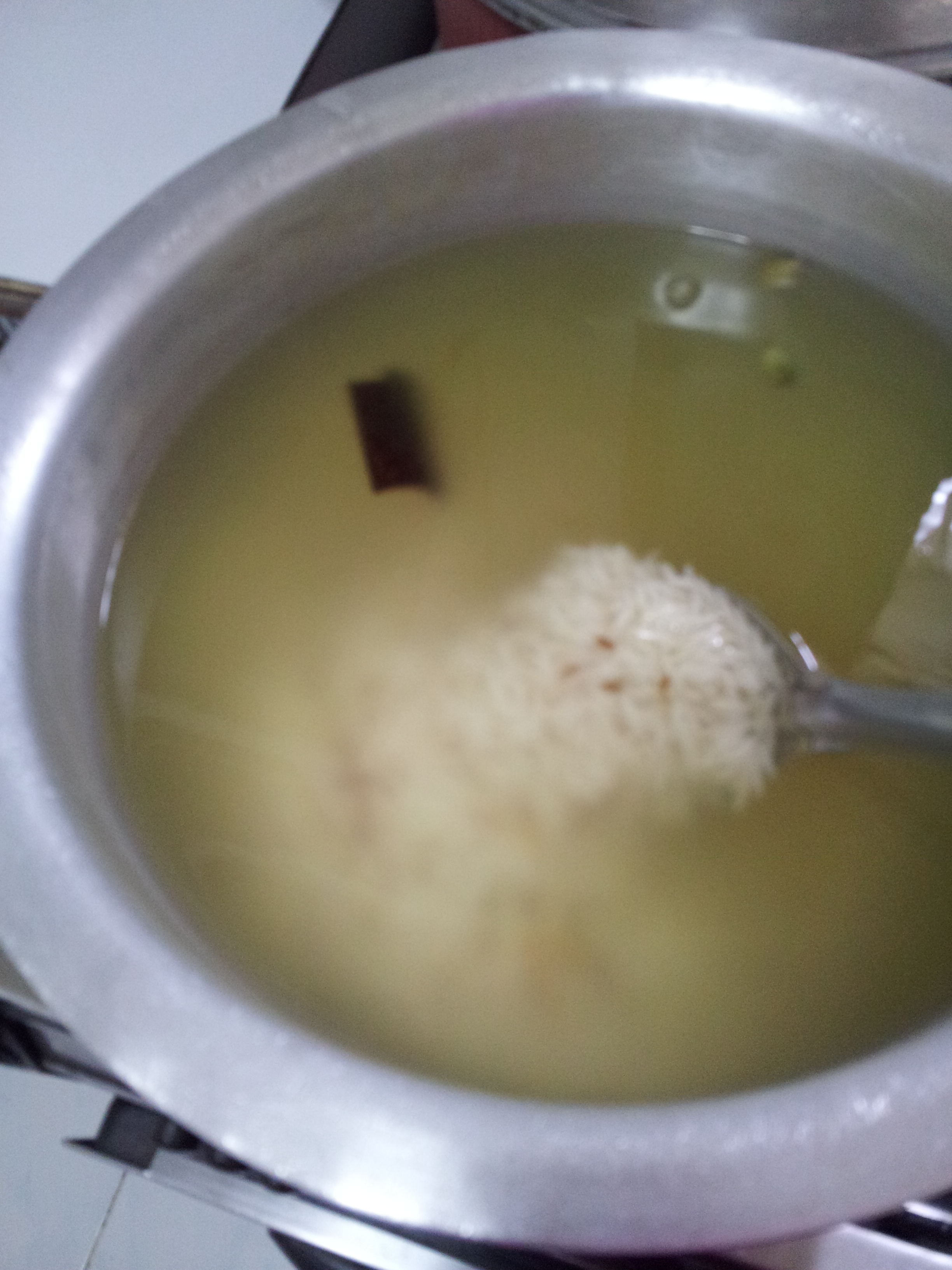 Sofiyani Biryani (10)