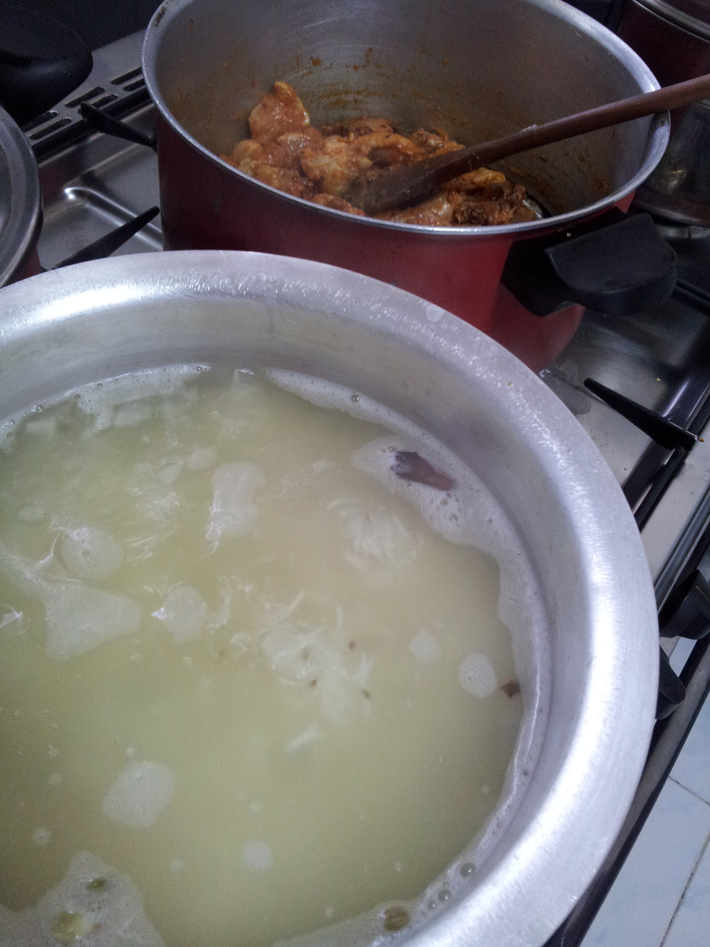 Sofiyani Biryani (16)