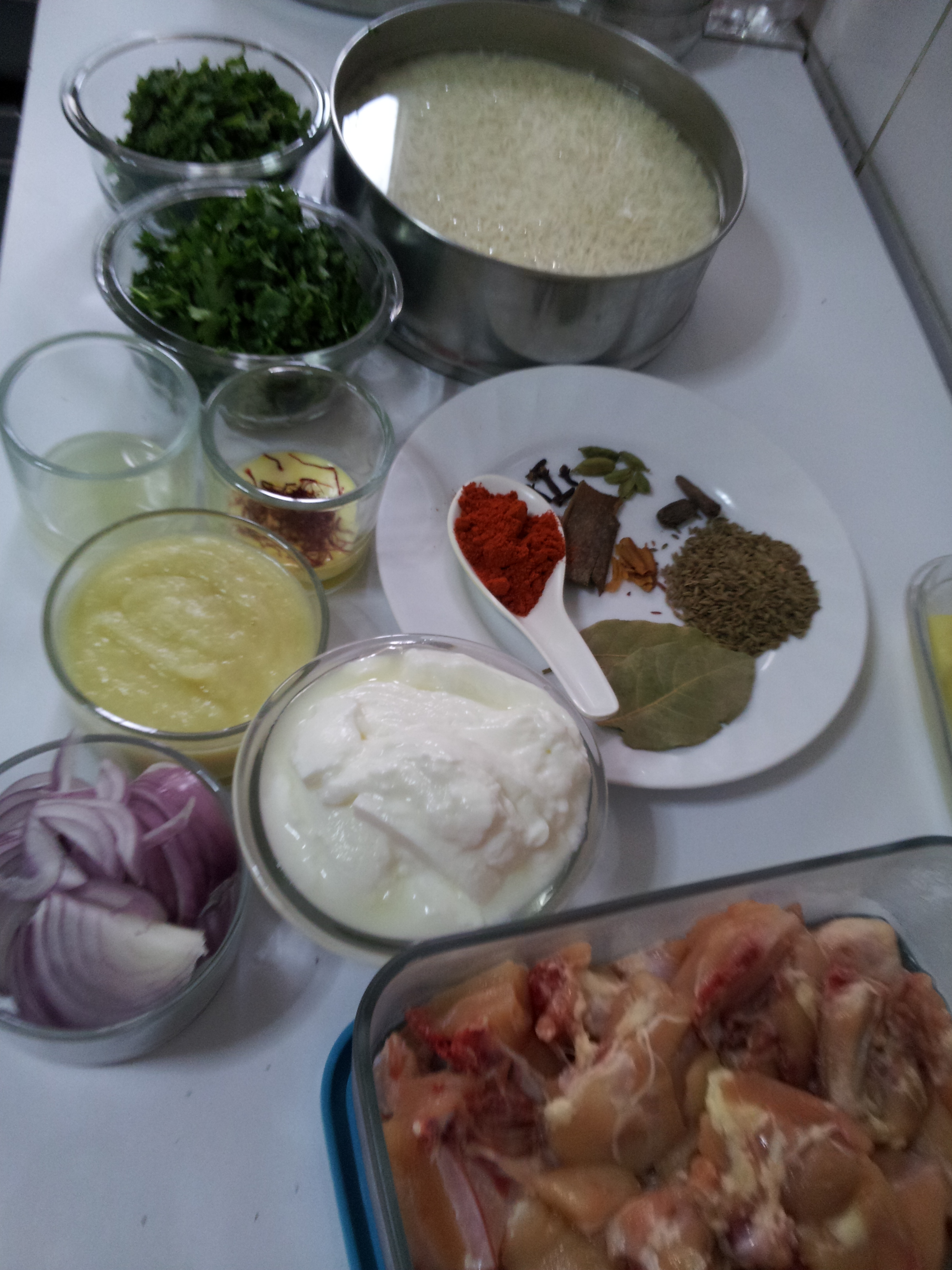 Sofiyani Biryani (2)