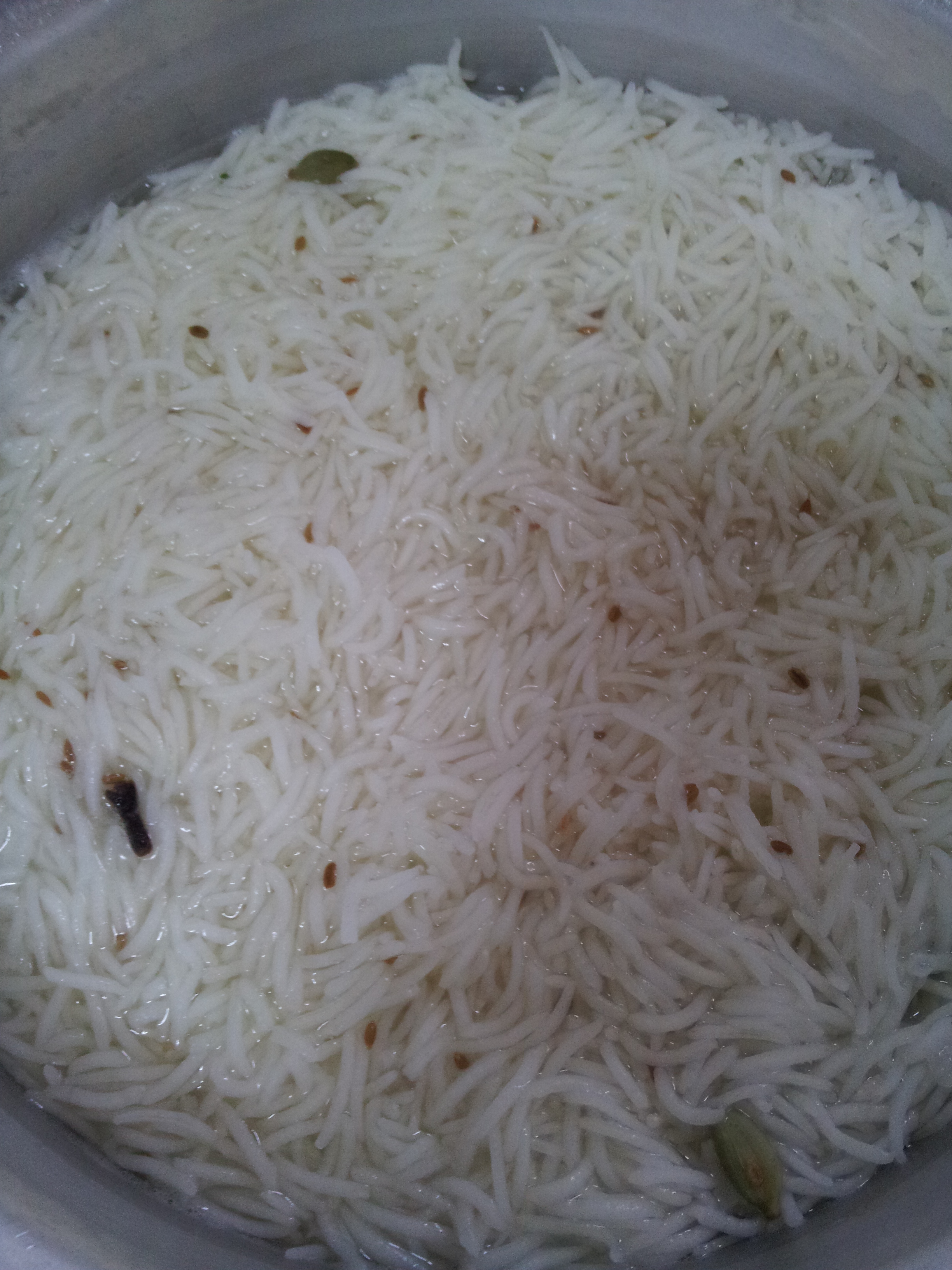 Sofiyani Biryani (22)