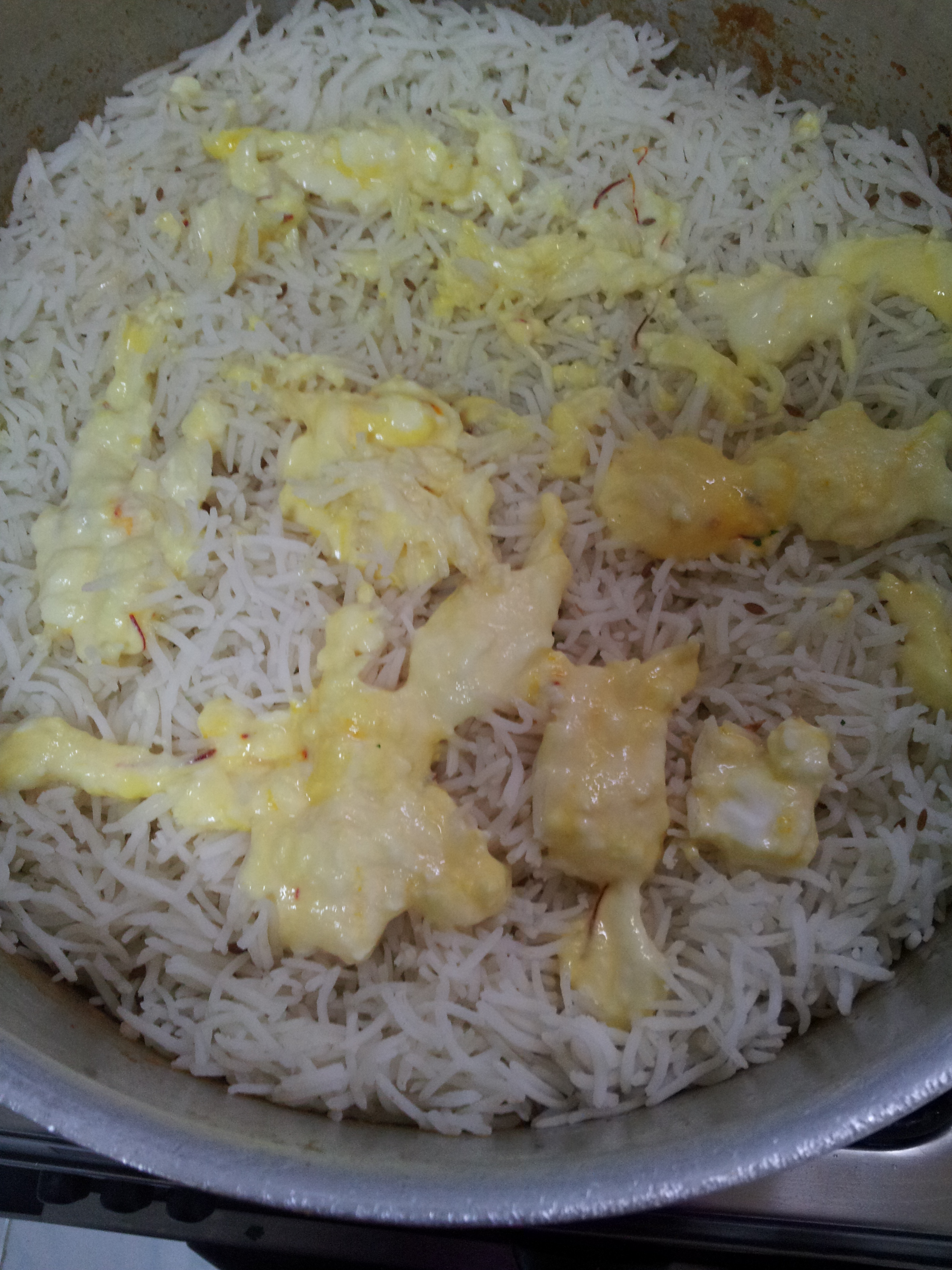 Sofiyani Biryani (28)