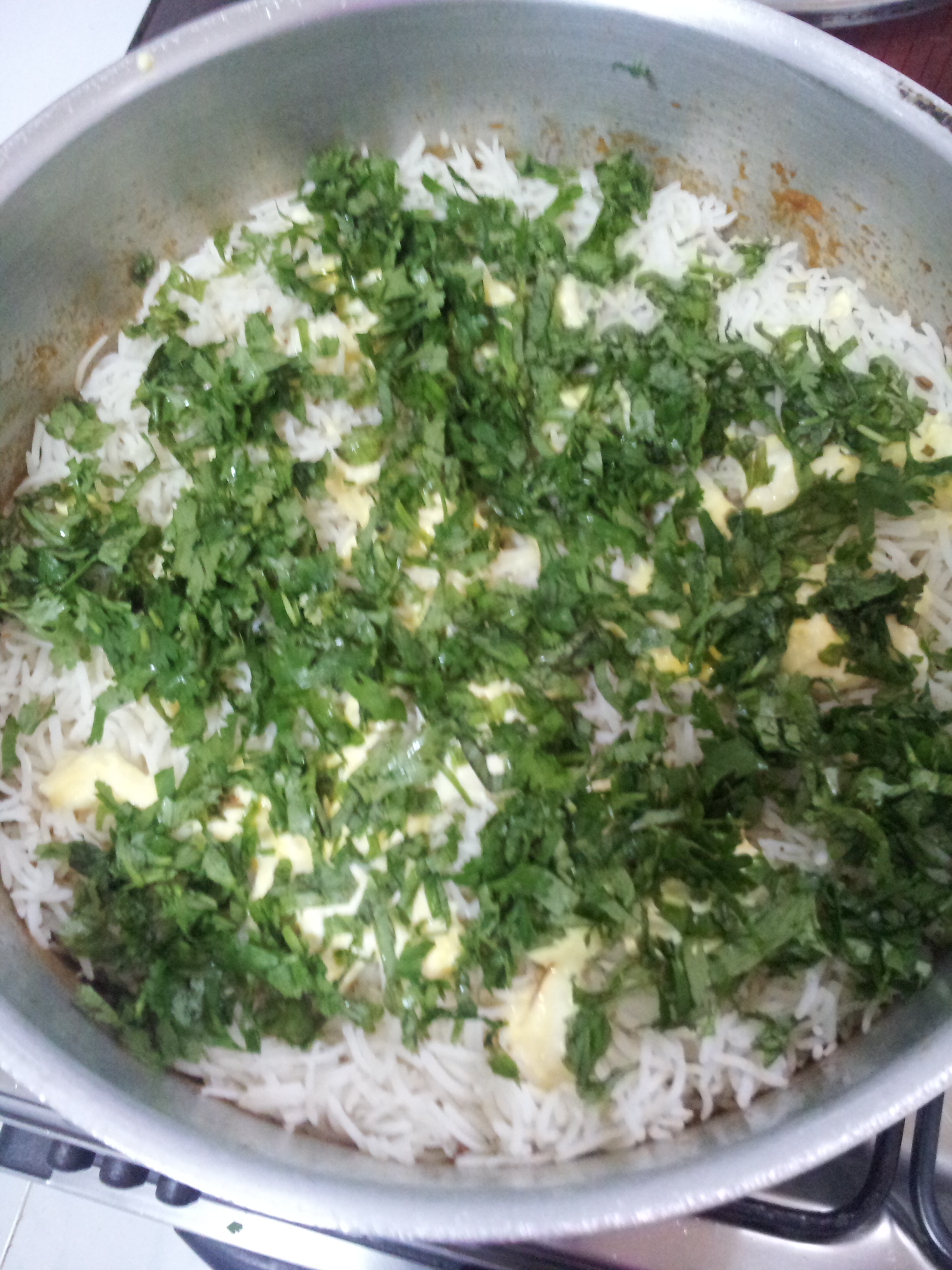 Sofiyani Biryani (29)