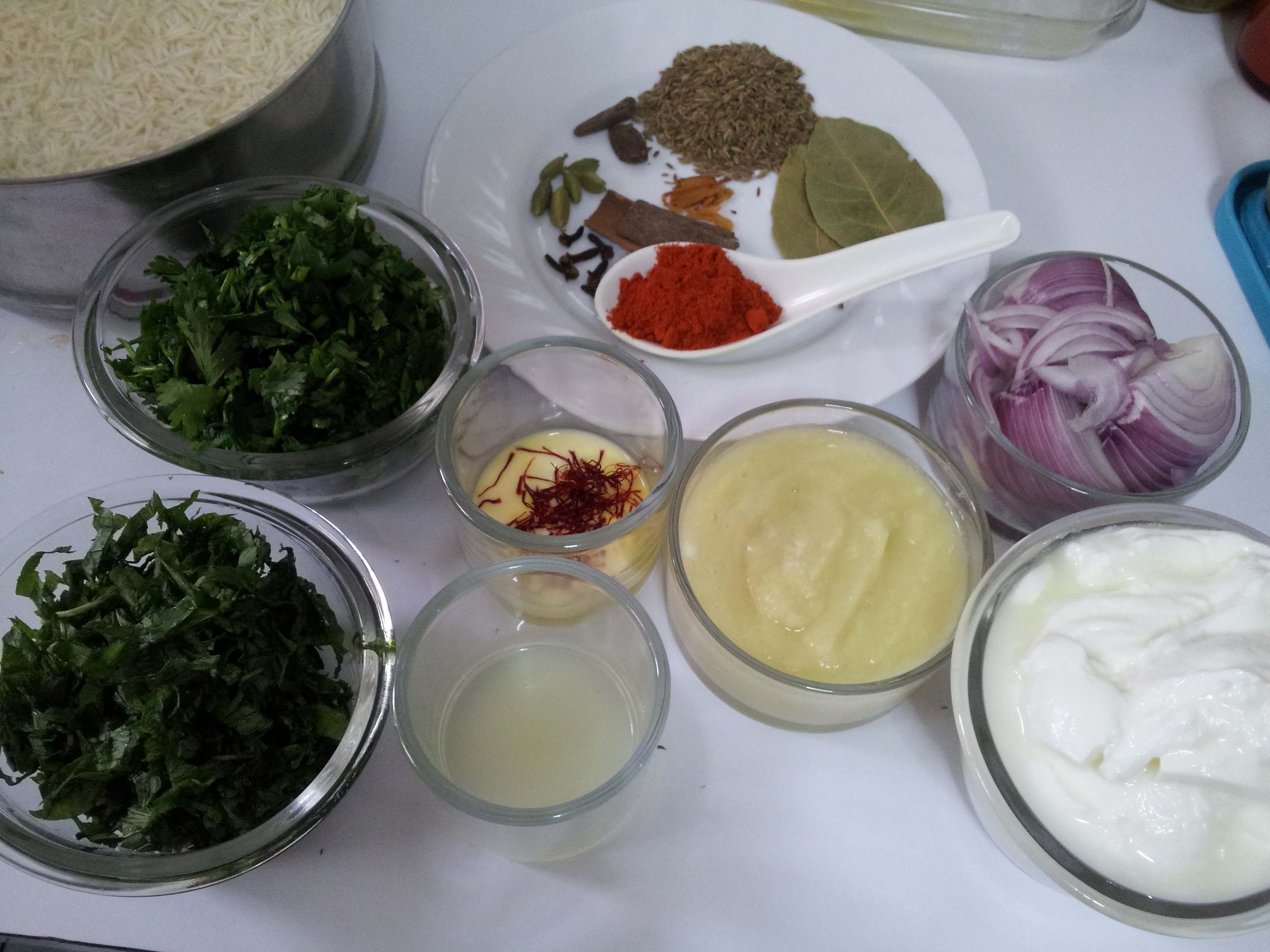 Sofiyani Biryani (3)