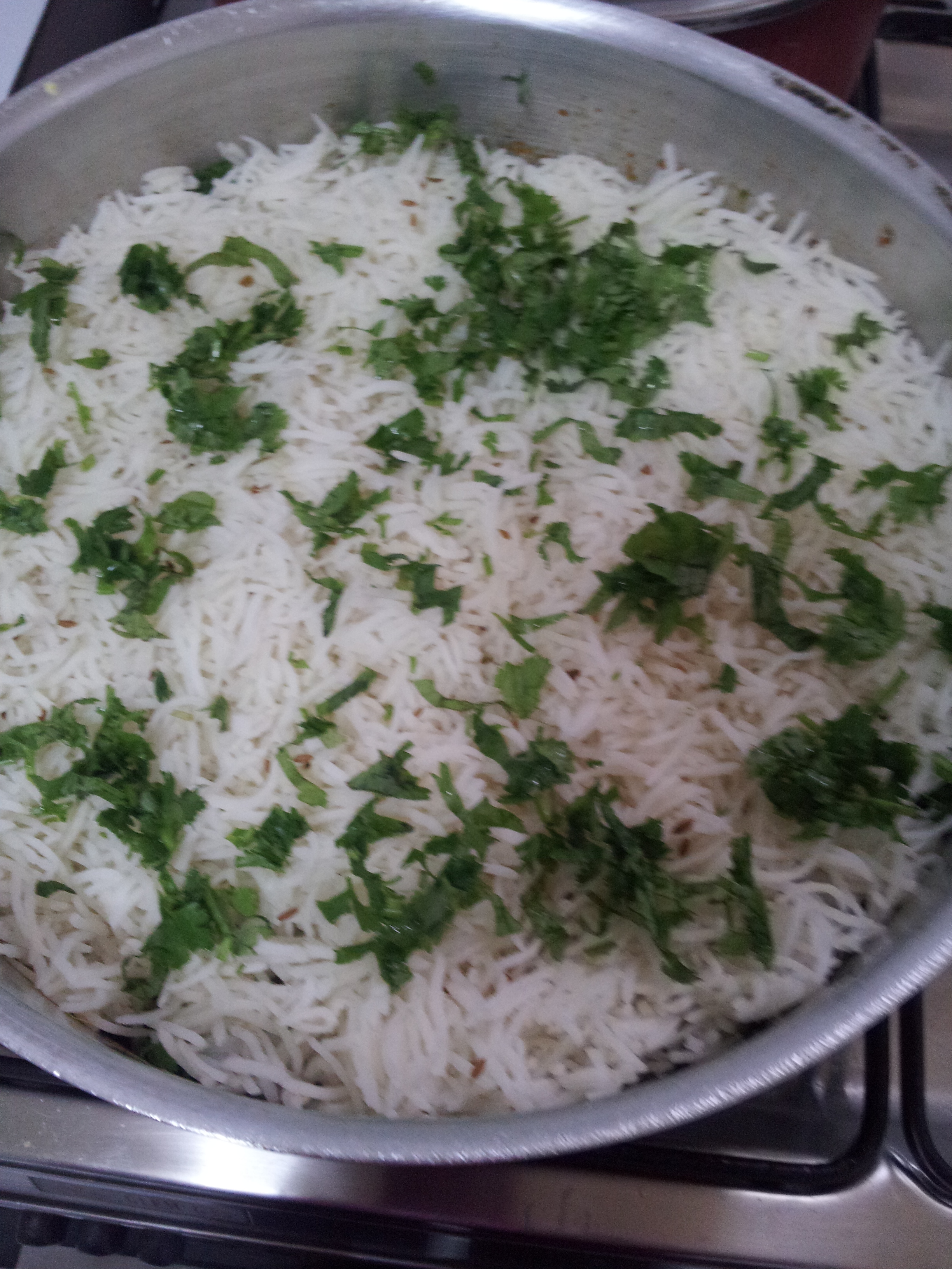 Sofiyani Biryani (30)