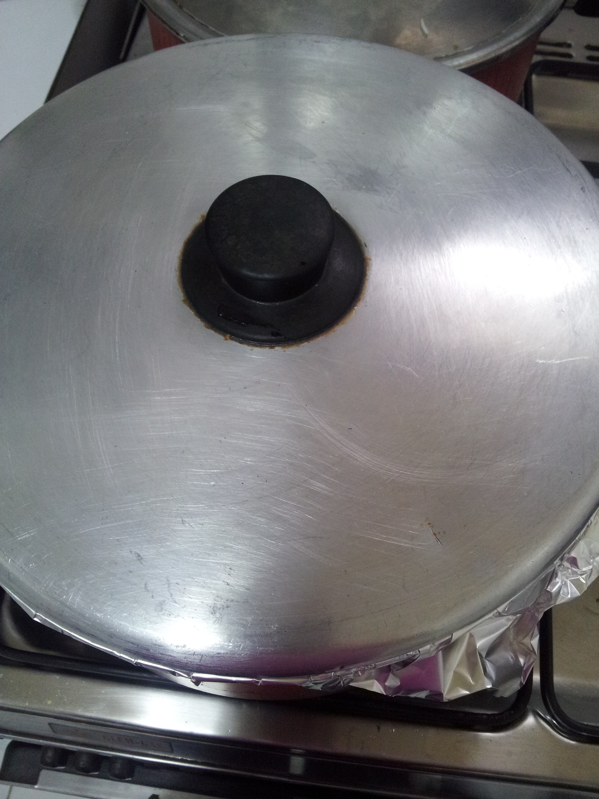 Sofiyani Biryani (32)