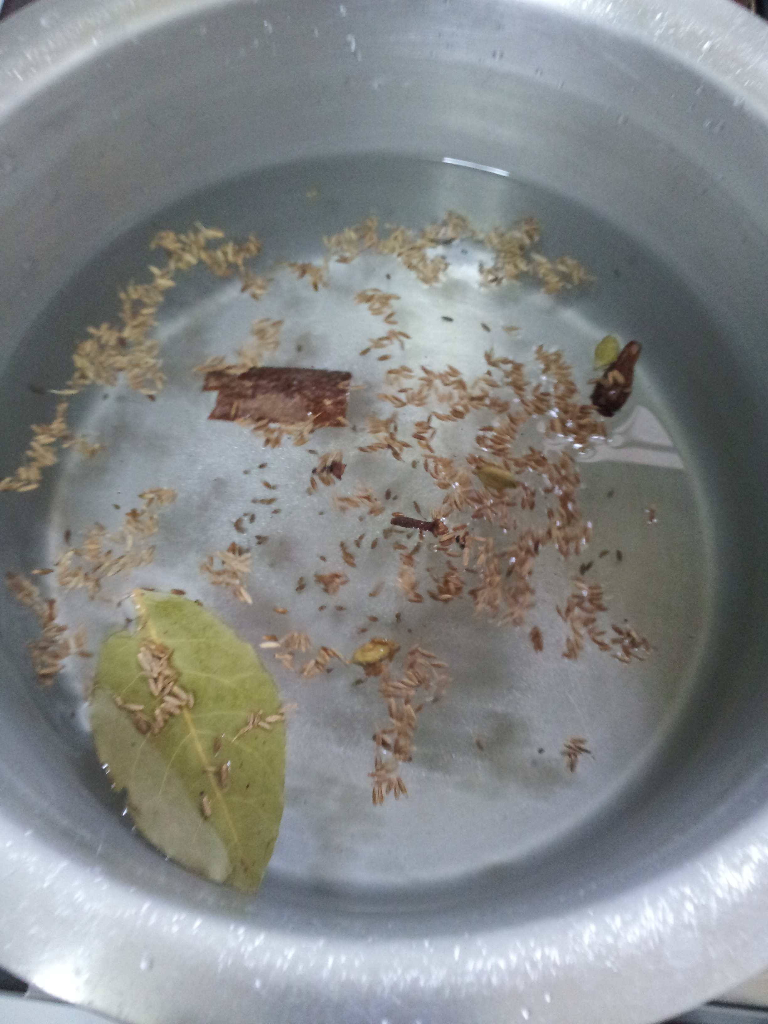 Sofiyani Biryani (4)