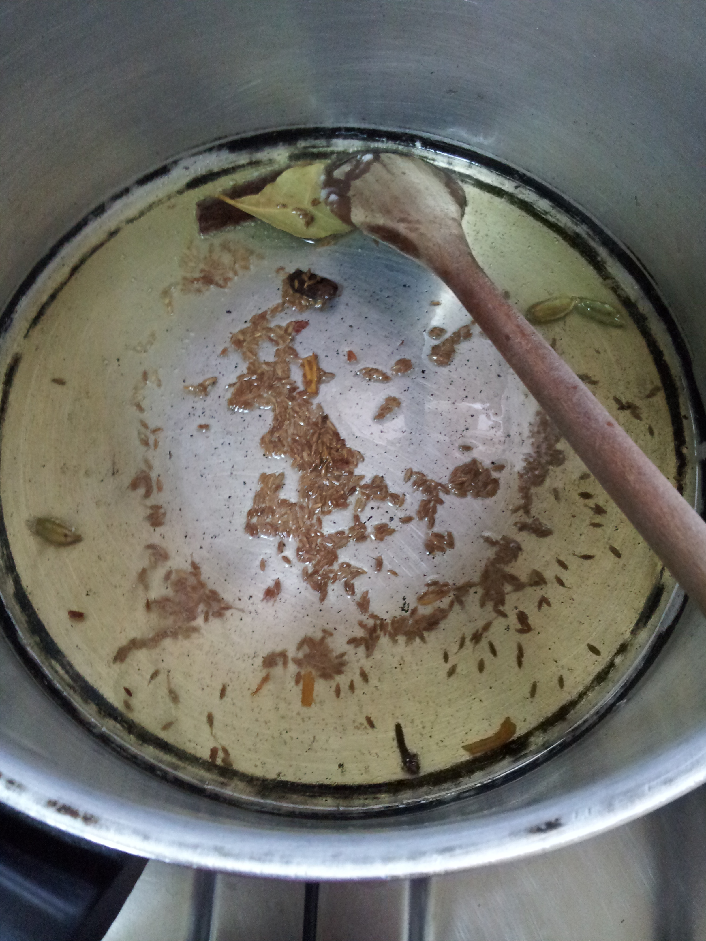 Sofiyani Biryani (5)