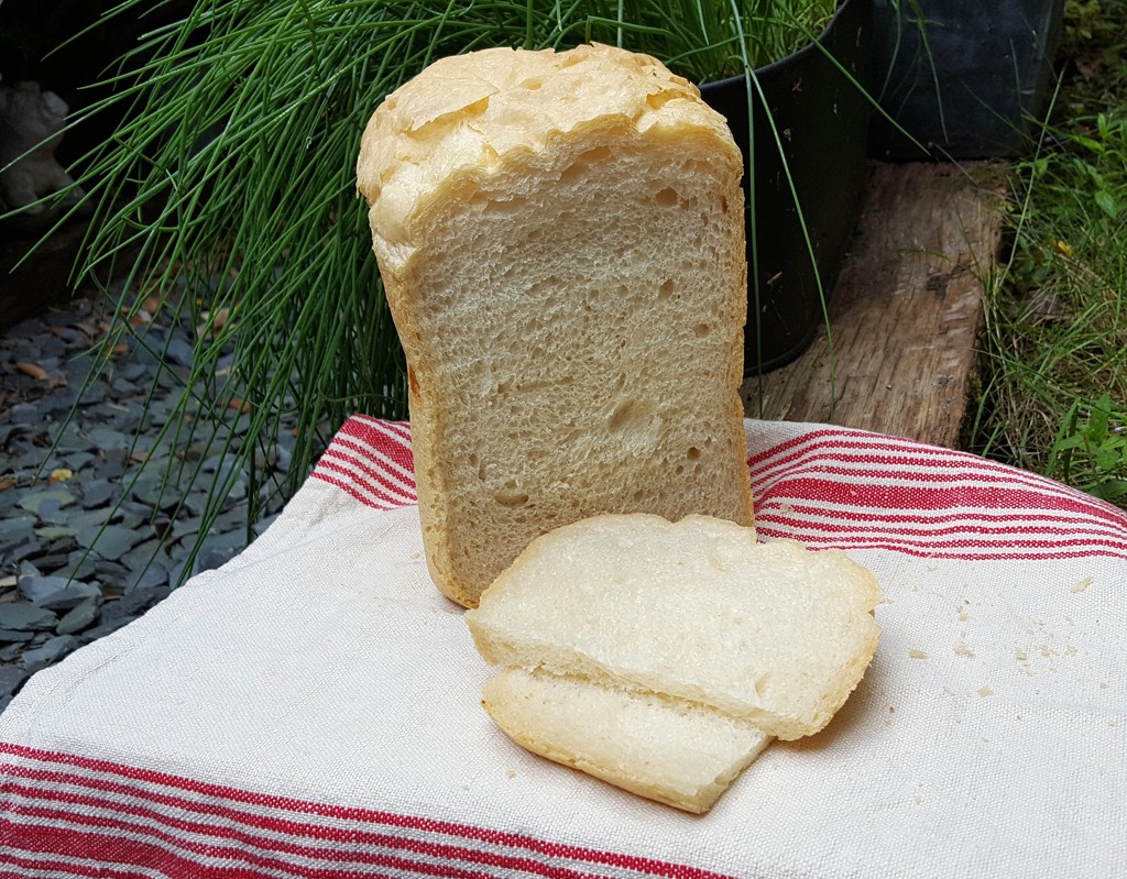 ciabatta bread recipe bread machine
