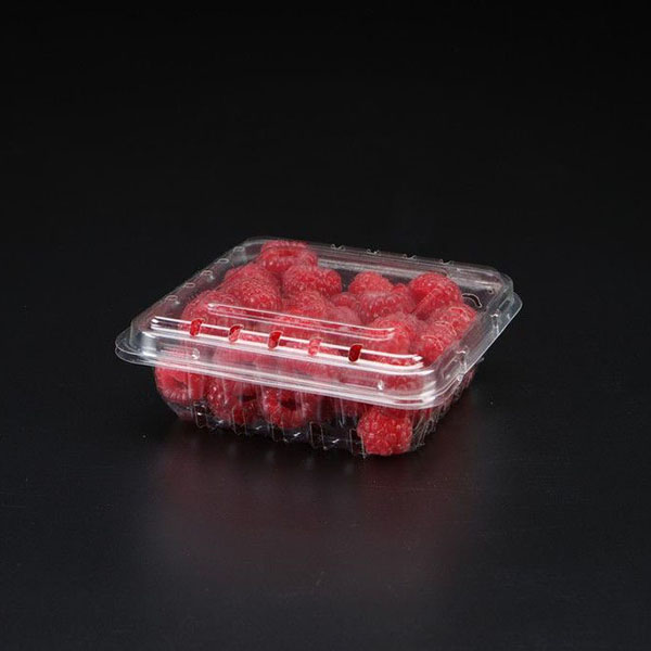 Shop Cool Pak Products » Cool Pak Produce Packaging Solutions