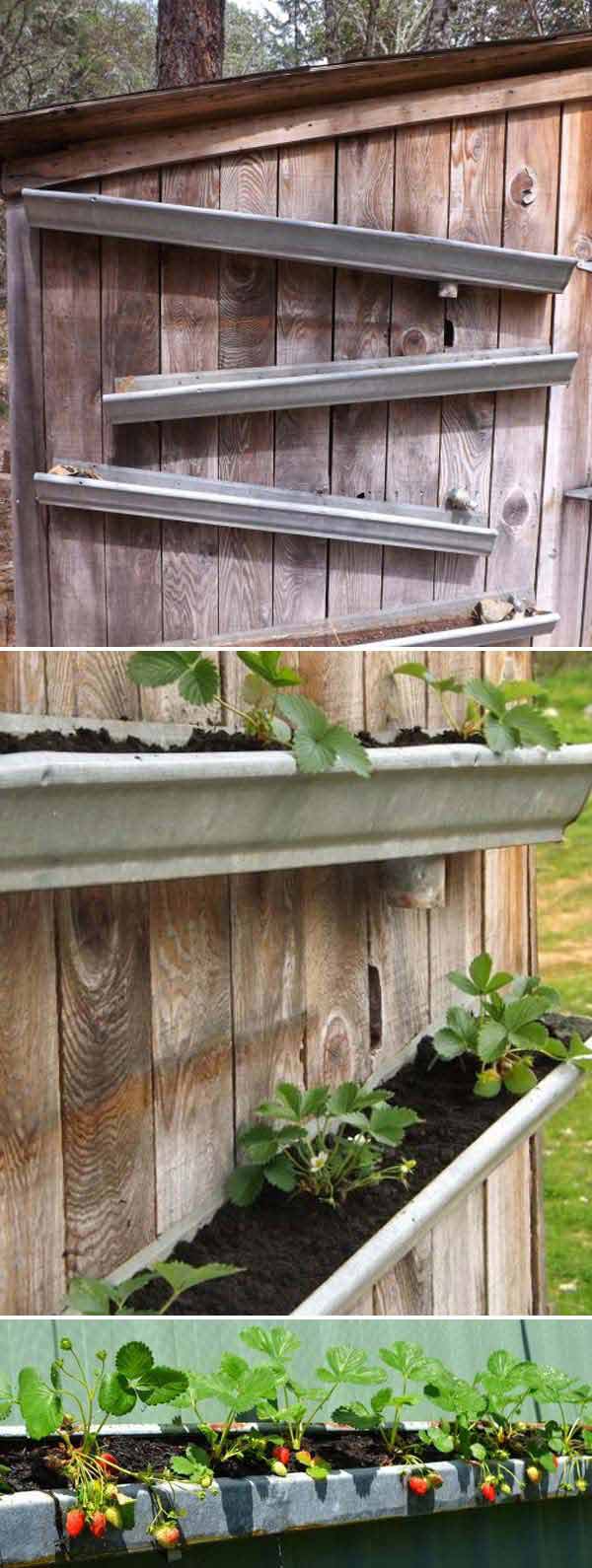 When aging or illness makes it necessary to have hospital equipment in the home, you may wonder how you'll afford these items. grow vertical strawberry garden in 10 diy ways