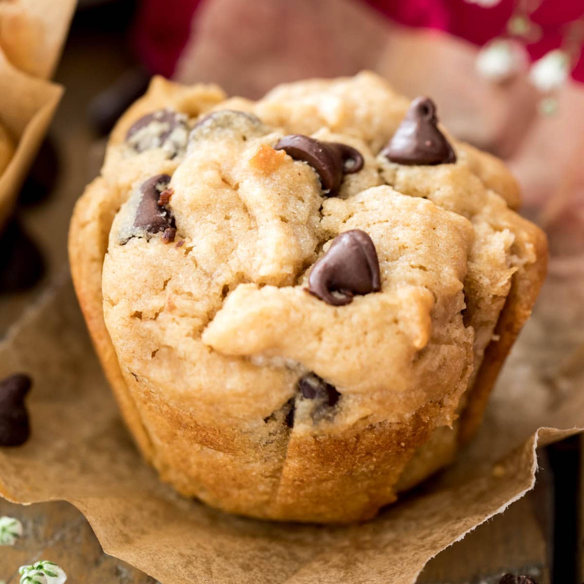 CHOCOLATE PEANUT BUTTER MUFFINS 
