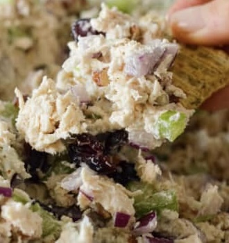 CRANBERRY AND PECAN CHICKEN salad