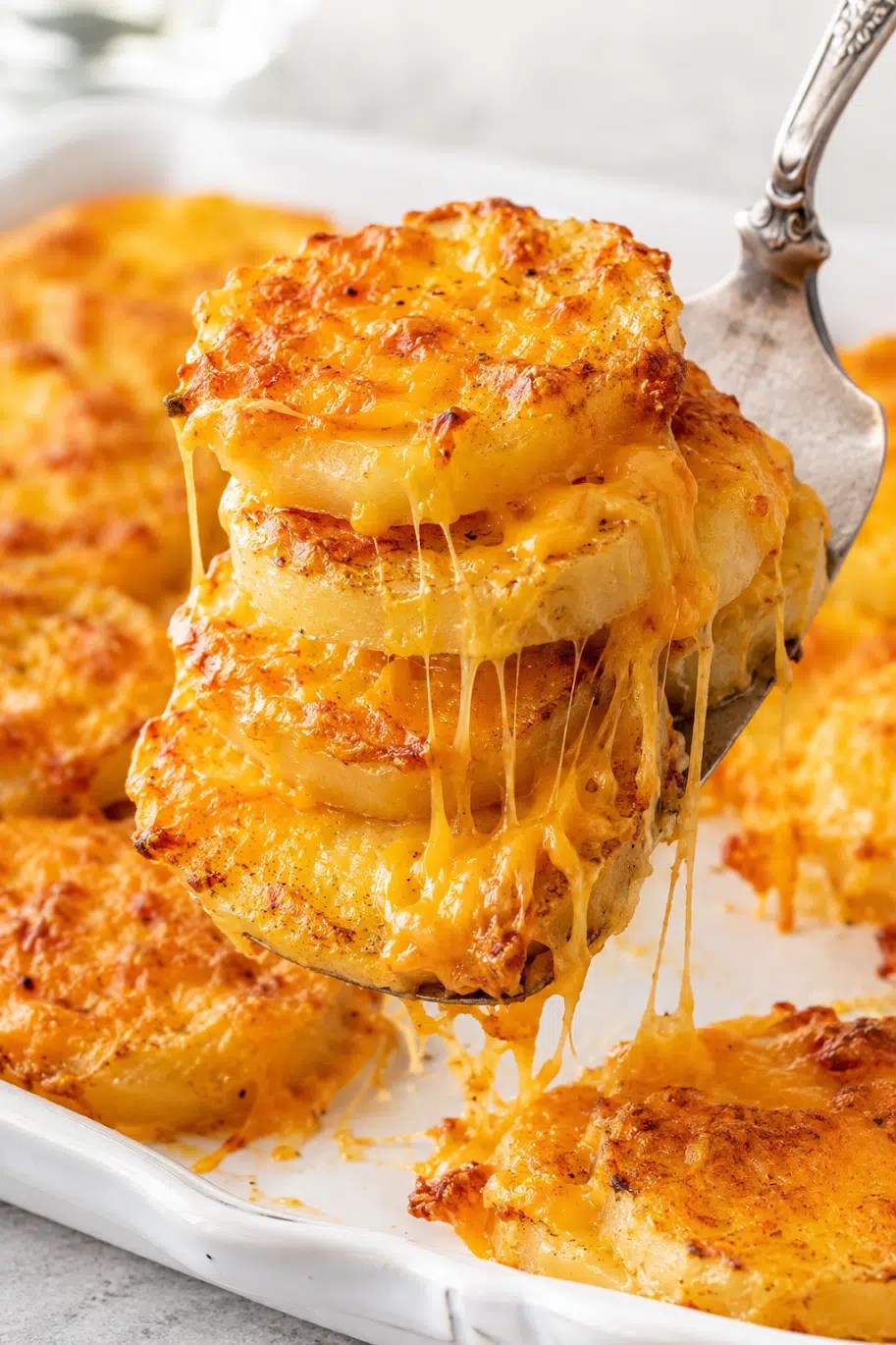 CHEESY POTATO ROUNDS