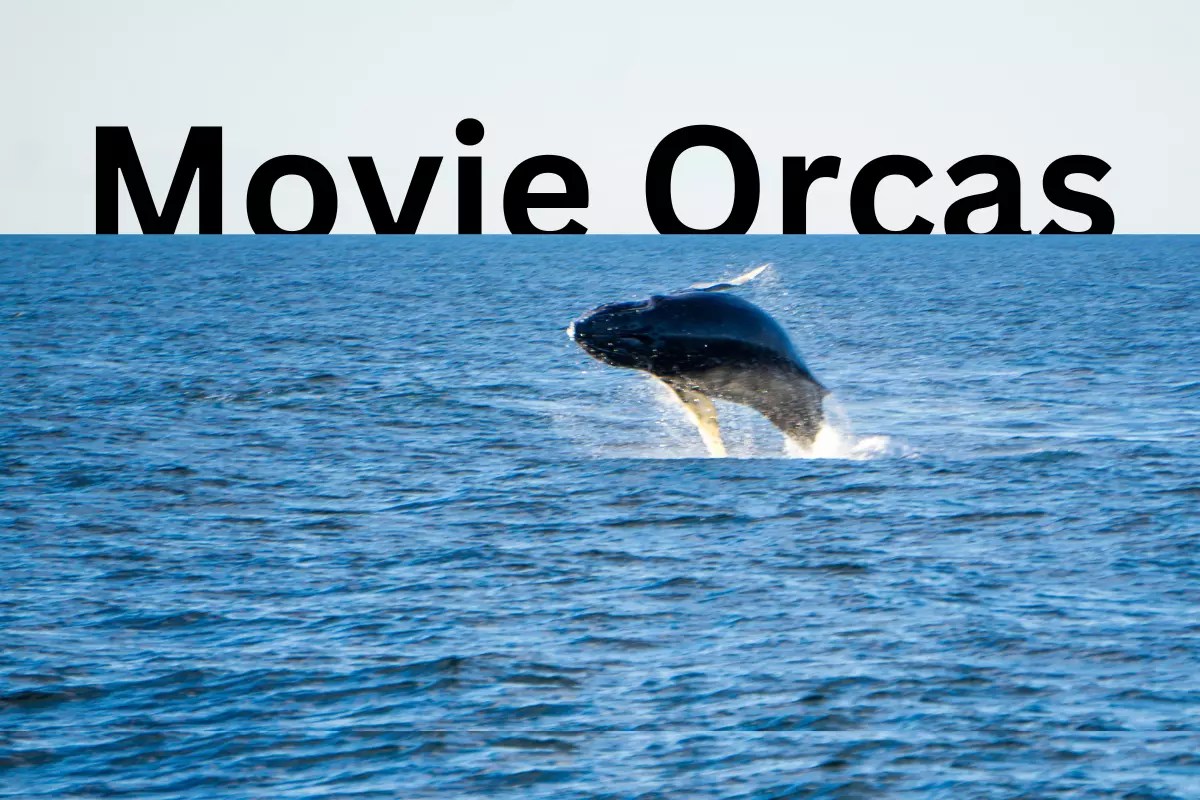 movie orca