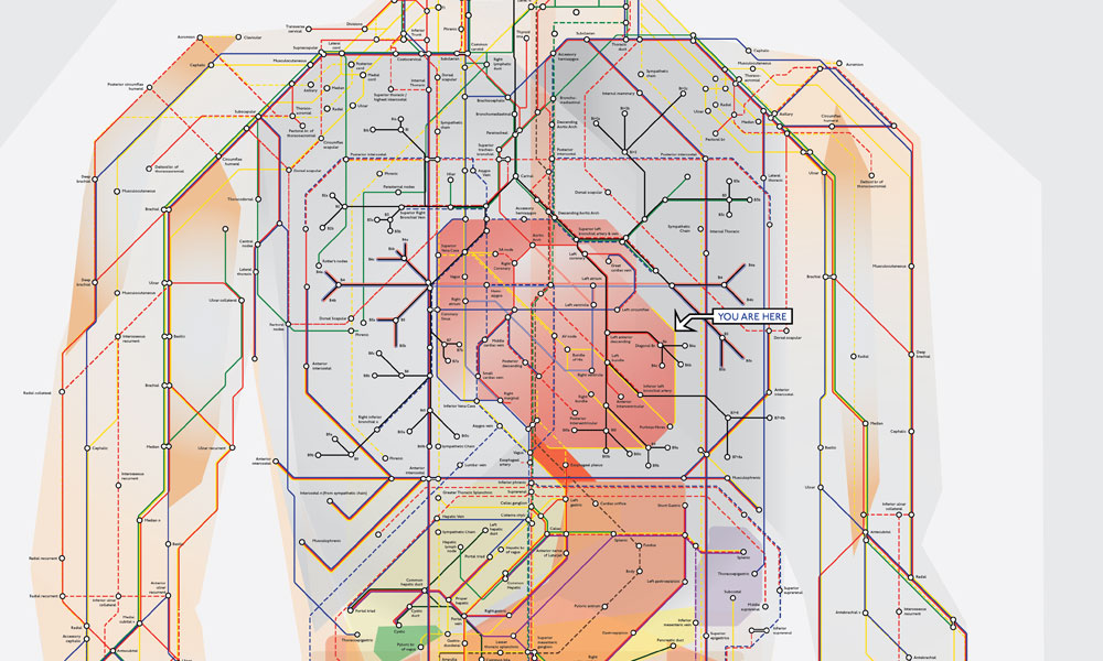 Map Of Human Anatomy Human Anatomy Subway Map 3 