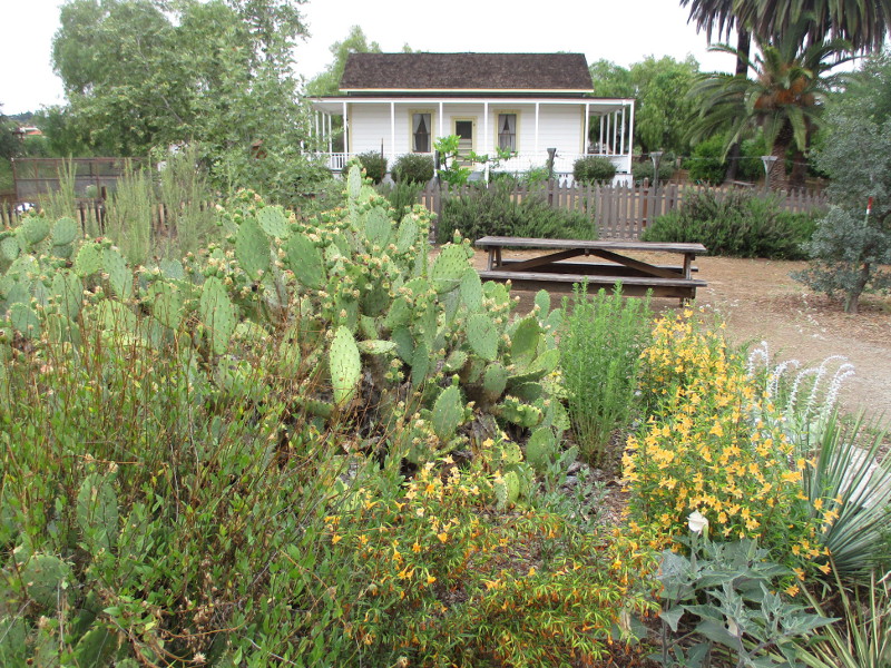 Native plant garden at Sikes Adobe Farmhouse. – Cool San Diego Sights!