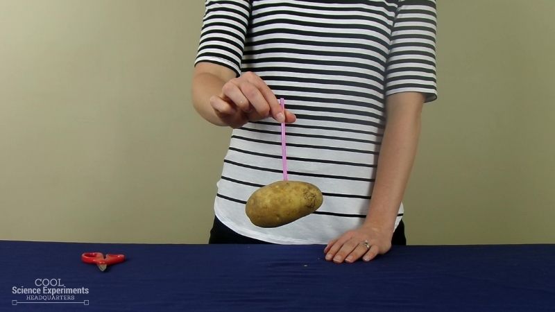 We may earn commission from links on this page, but we only recommend products we bac. Straw Through A Potato Science Experiment