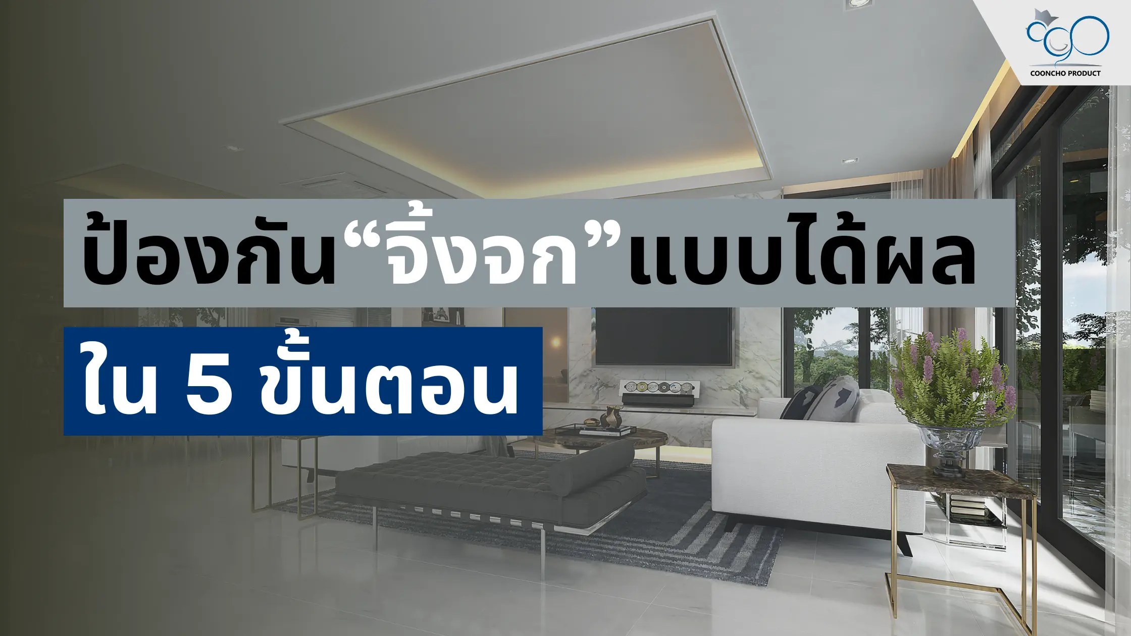 ป้องกันจิ้งจกแบบได้ผลใน 5 ขั้นตอน